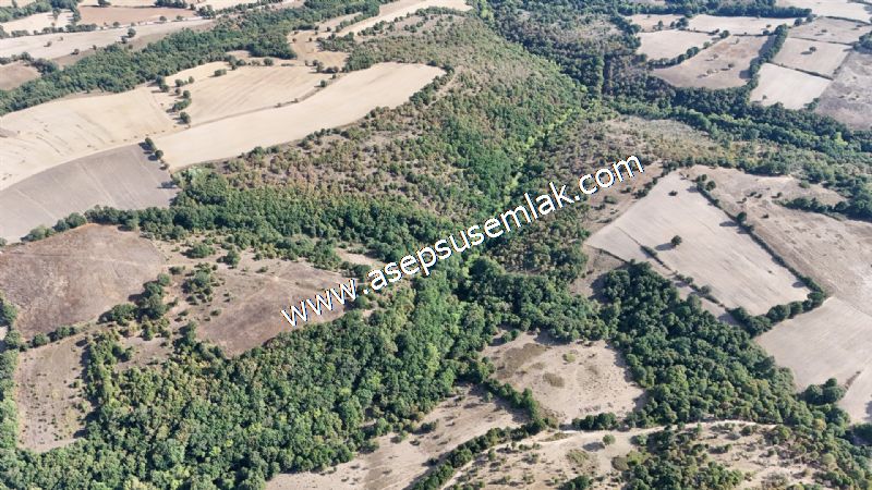 71.030 m2 Yatırımlık Tarla Bağ Bahçe Hobi Bahçesi Resmi Yol Yok.