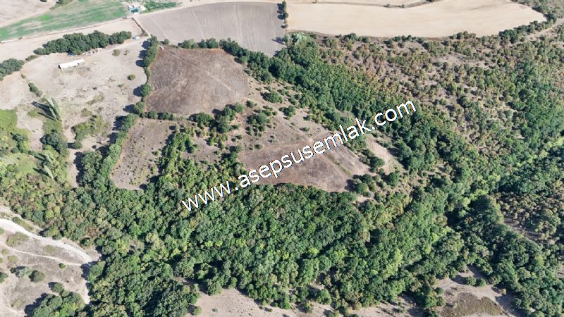 71.030 m2 Yatırımlık Tarla Bağ Bahçe Hobi Bahçesi Resmi Yol Yok.