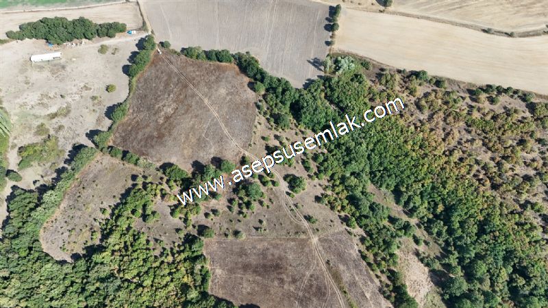 71.030 m2 Yatırımlık Tarla Bağ Bahçe Hobi Bahçesi Resmi Yol Yok.
