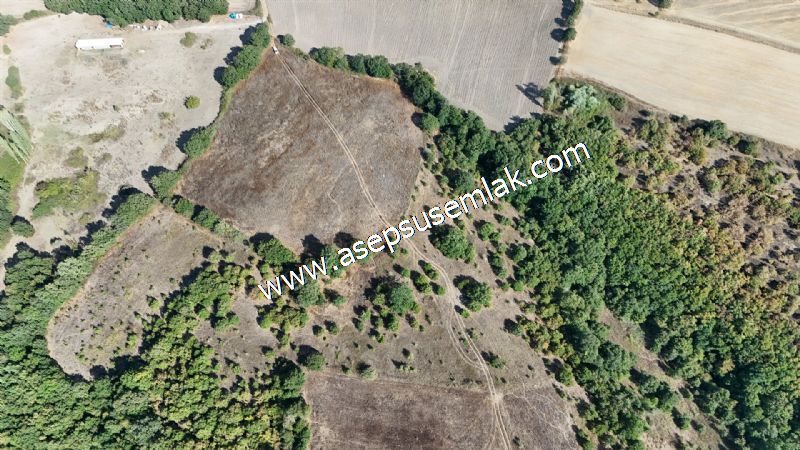 71.030 m2 Yatırımlık Tarla Bağ Bahçe Hobi Bahçesi Resmi Yol Yok.