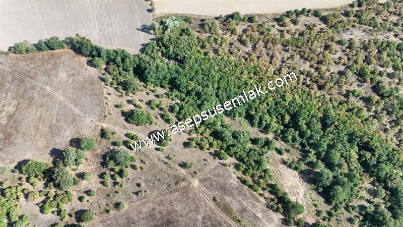 71.030 m2 Yatırımlık Tarla Bağ Bahçe Hobi Bahçesi Resmi Yol Yok.