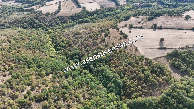 71.030 m2 Yatırımlık Tarla Bağ Bahçe Hobi Bahçesi Resmi Yol Yok.
