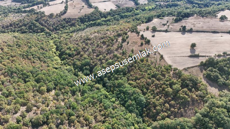 71.030 m2 Yatırımlık Tarla Bağ Bahçe Hobi Bahçesi Resmi Yol Yok.