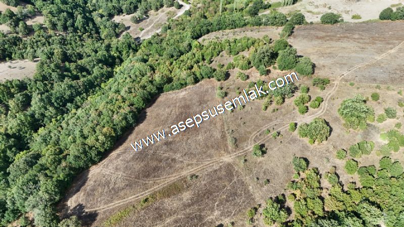 71.030 m2 Yatırımlık Tarla Bağ Bahçe Hobi Bahçesi Resmi Yol Yok.