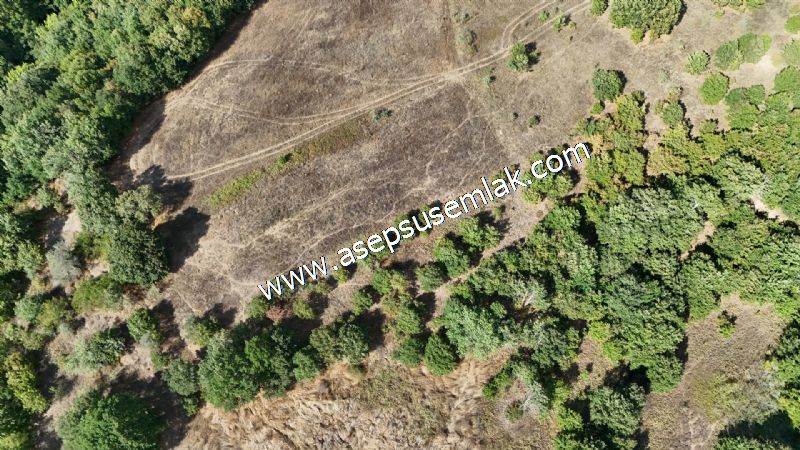 71.030 m2 Yatırımlık Tarla Bağ Bahçe Hobi Bahçesi Resmi Yol Yok.