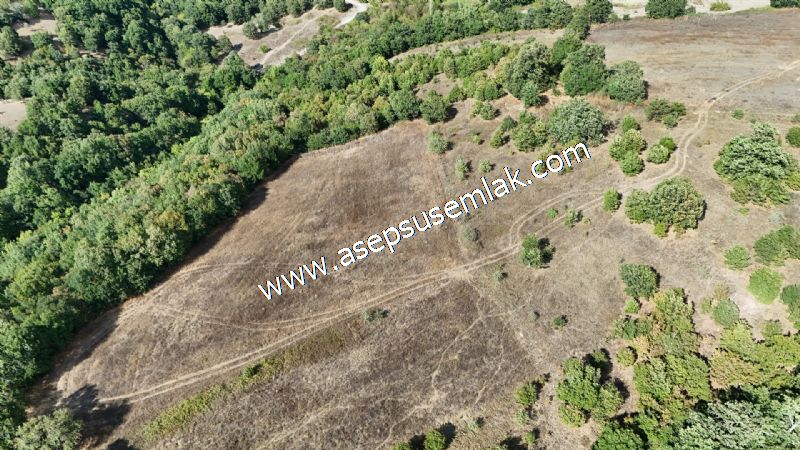 71.030 m2 Yatırımlık Tarla Bağ Bahçe Hobi Bahçesi Resmi Yol Yok.