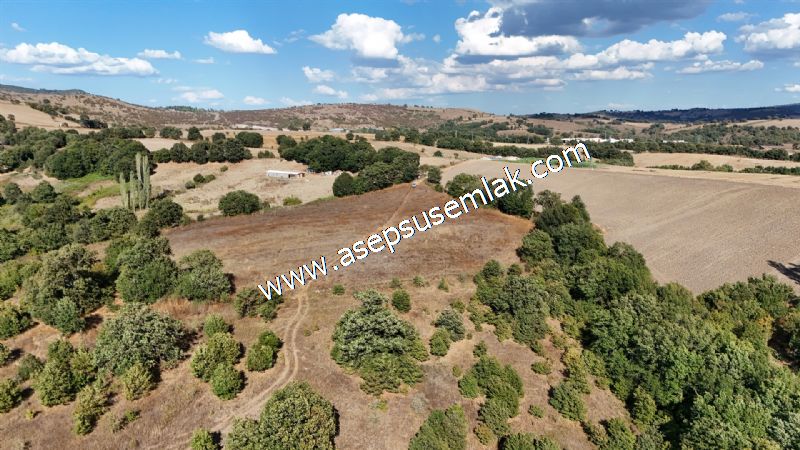 71.030 m2 Yatırımlık Tarla Bağ Bahçe Hobi Bahçesi Resmi Yol Yok.
