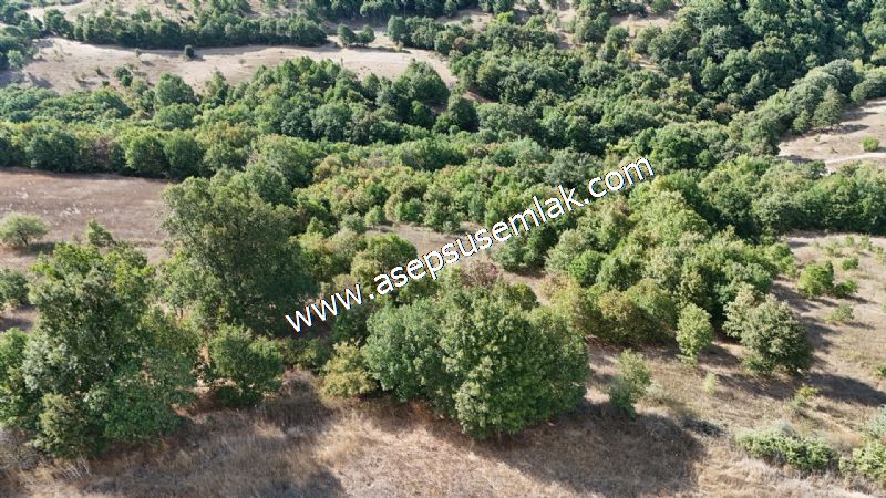 71.030 m2 Yatırımlık Tarla Bağ Bahçe Hobi Bahçesi Resmi Yol Yok.