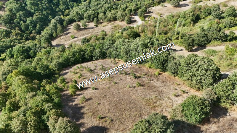 71.030 m2 Yatırımlık Tarla Bağ Bahçe Hobi Bahçesi Resmi Yol Yok.