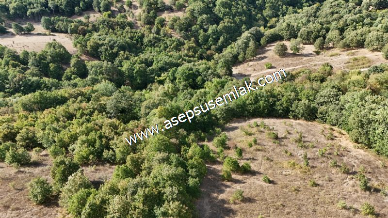 71.030 m2 Yatırımlık Tarla Bağ Bahçe Hobi Bahçesi Resmi Yol Yok.