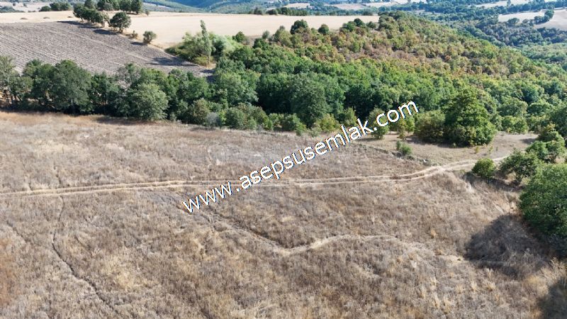 71.030 m2 Yatırımlık Tarla Bağ Bahçe Hobi Bahçesi Resmi Yol Yok.