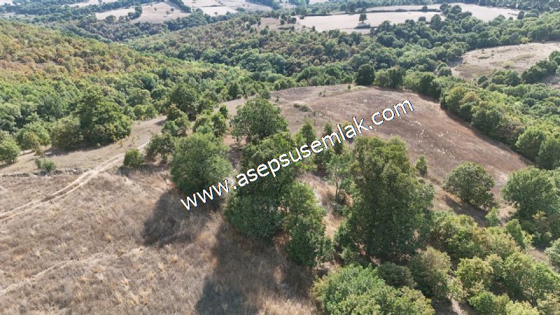 71.030 m2 Yatırımlık Tarla Bağ Bahçe Hobi Bahçesi Resmi Yol Yok.