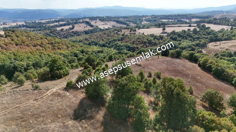 71.030 m2 Yatırımlık Tarla Bağ Bahçe Hobi Bahçesi Resmi Yol Yok.