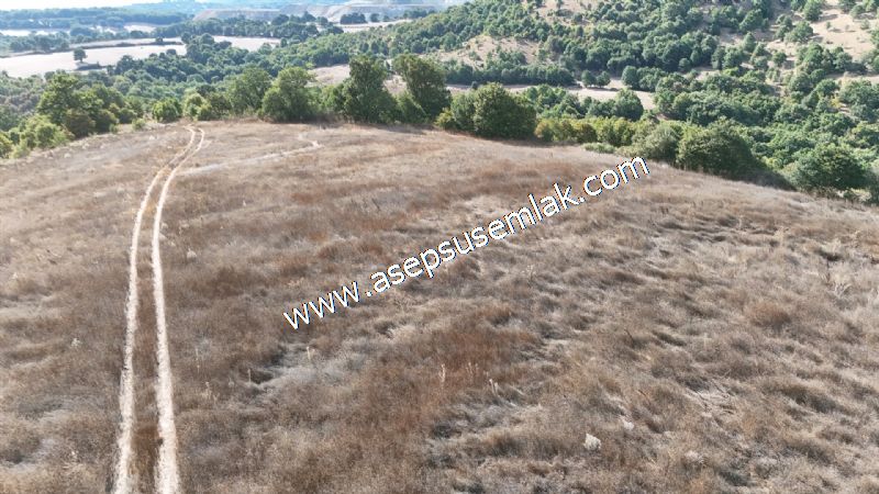 71.030 m2 Yatırımlık Tarla Bağ Bahçe Hobi Bahçesi Resmi Yol Yok.