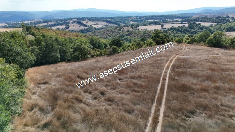 71.030 m2 Yatırımlık Tarla Bağ Bahçe Hobi Bahçesi Resmi Yol Yok.