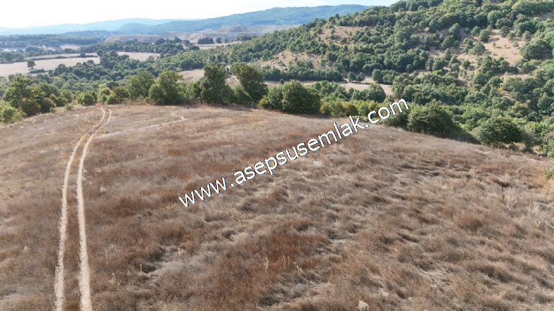 71.030 m2 Yatırımlık Tarla Bağ Bahçe Hobi Bahçesi Resmi Yol Yok.