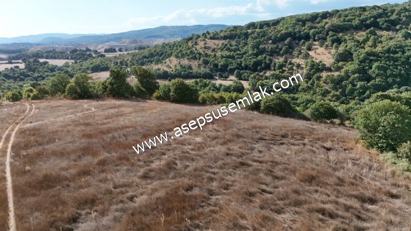71.030 m2 Yatırımlık Tarla Bağ Bahçe Hobi Bahçesi Resmi Yol Yok.