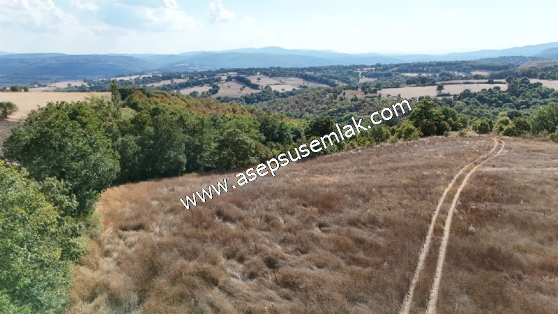 71.030 m2 Yatırımlık Tarla Bağ Bahçe Hobi Bahçesi Resmi Yol Yok.