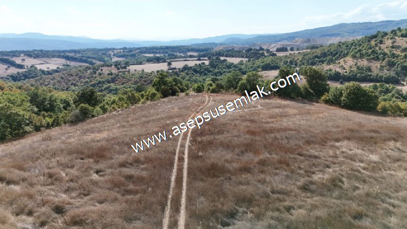 71.030 m2 Yatırımlık Tarla Bağ Bahçe Hobi Bahçesi Resmi Yol Yok.