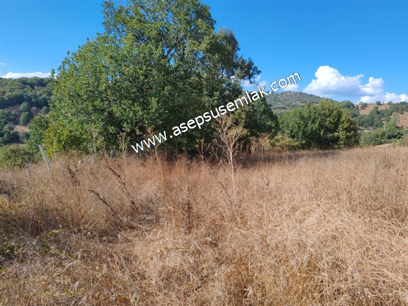 71.030 m2 Yatırımlık Tarla Bağ Bahçe Hobi Bahçesi Resmi Yol Yok.