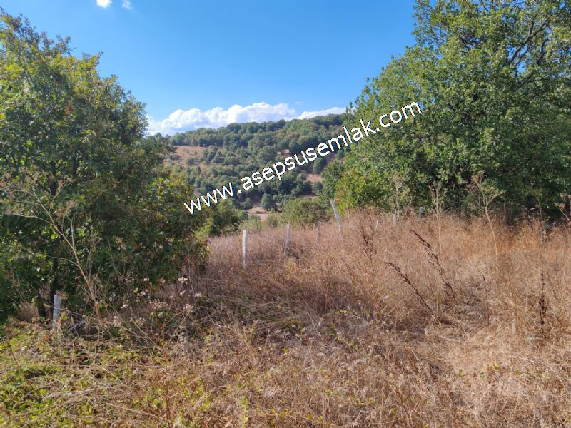 71.030 m2 Yatırımlık Tarla Bağ Bahçe Hobi Bahçesi Resmi Yol Yok.