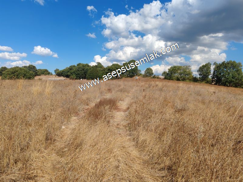 71.030 m2 Yatırımlık Tarla Bağ Bahçe Hobi Bahçesi Resmi Yol Yok.