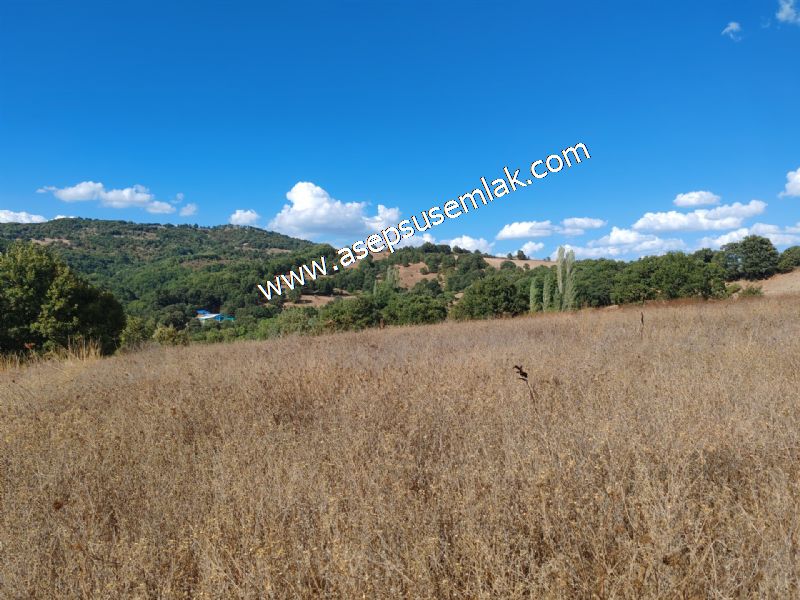71.030 m2 Yatırımlık Tarla Bağ Bahçe Hobi Bahçesi Resmi Yol Yok.