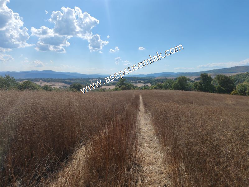 71.030 m2 Yatırımlık Tarla Bağ Bahçe Hobi Bahçesi Resmi Yol Yok.