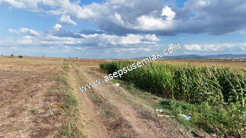 4.735 m2 Kadastro Yola Cepheli Çiftlik Bağ-Bahçe K.Pompaj Su Var