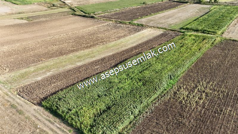 4.735 m2 Kadastro Yola Cepheli Çiftlik Bağ-Bahçe K.Pompaj Su Var