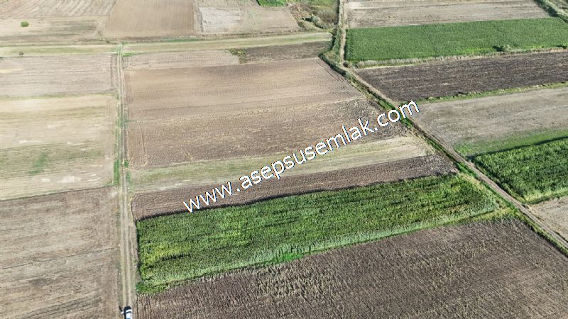 4.735 m2 Kadastro Yola Cepheli Çiftlik Bağ-Bahçe K.Pompaj Su Var