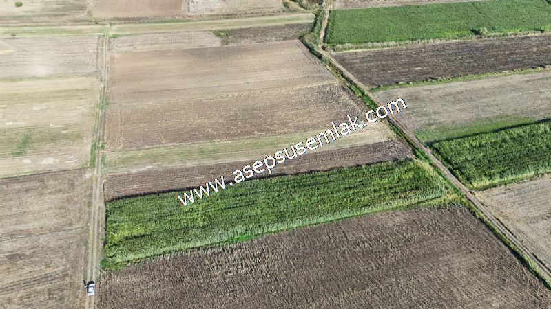 4.735 m2 Kadastro Yola Cepheli Çiftlik Bağ-Bahçe K.Pompaj Su Var