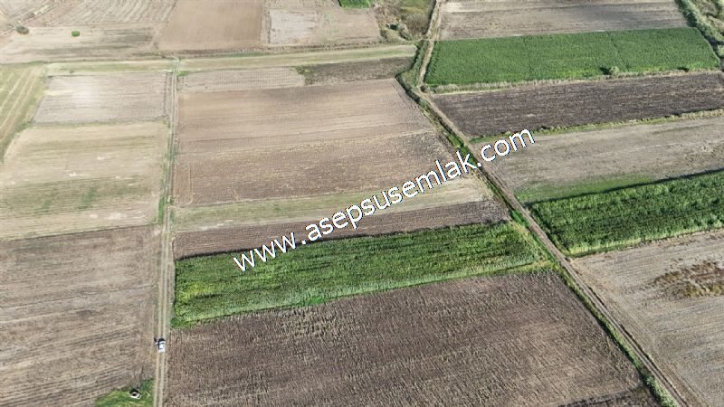 4.735 m2 Kadastro Yola Cepheli Çiftlik Bağ-Bahçe K.Pompaj Su Var