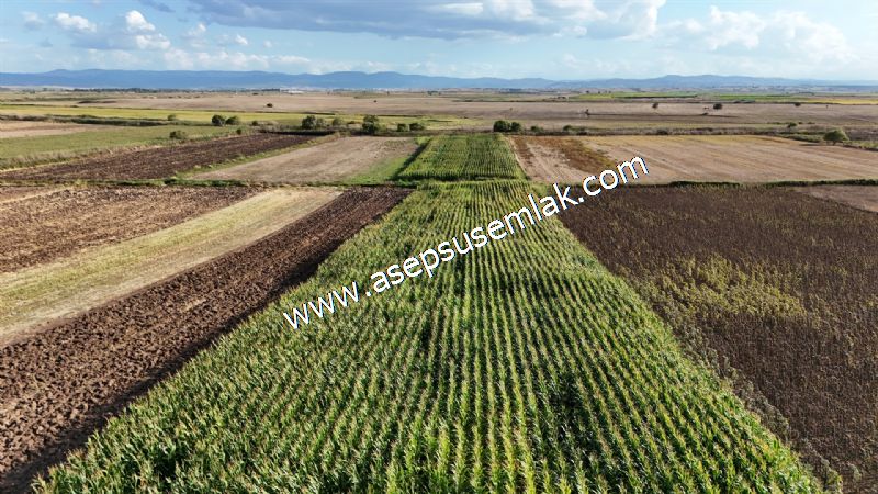 4.735 m2 Kadastro Yola Cepheli Çiftlik Bağ-Bahçe K.Pompaj Su Var