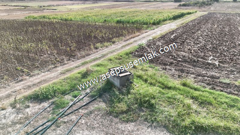 4.735 m2 Kadastro Yola Cepheli Çiftlik Bağ-Bahçe K.Pompaj Su Var
