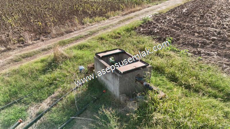 4.735 m2 Kadastro Yola Cepheli Çiftlik Bağ-Bahçe K.Pompaj Su Var
