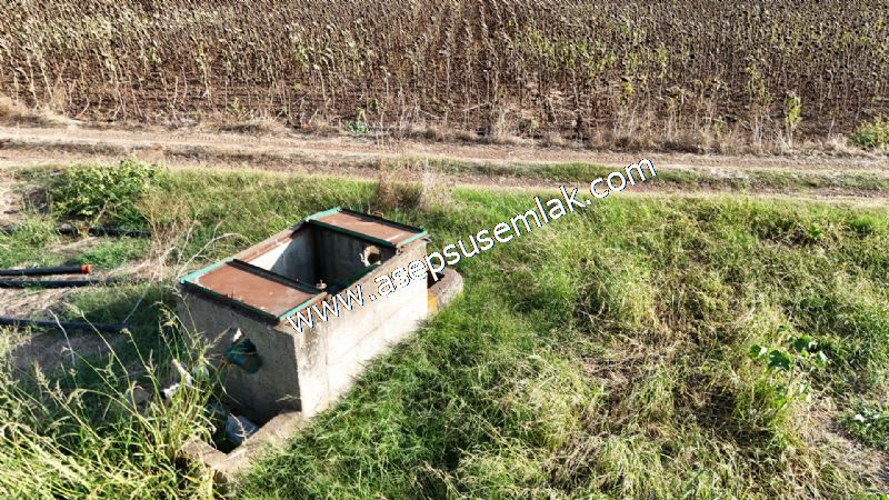 4.735 m2 Kadastro Yola Cepheli Çiftlik Bağ-Bahçe K.Pompaj Su Var