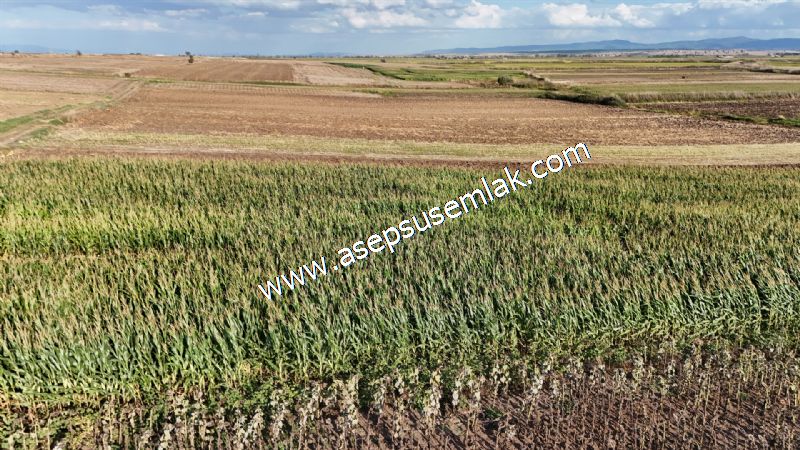 4.735 m2 Kadastro Yola Cepheli Çiftlik Bağ-Bahçe K.Pompaj Su Var