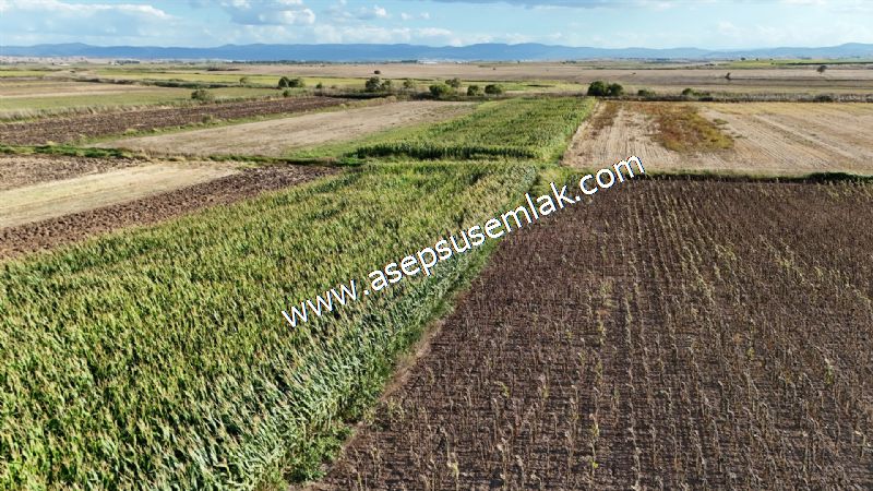 4.735 m2 Kadastro Yola Cepheli Çiftlik Bağ-Bahçe K.Pompaj Su Var