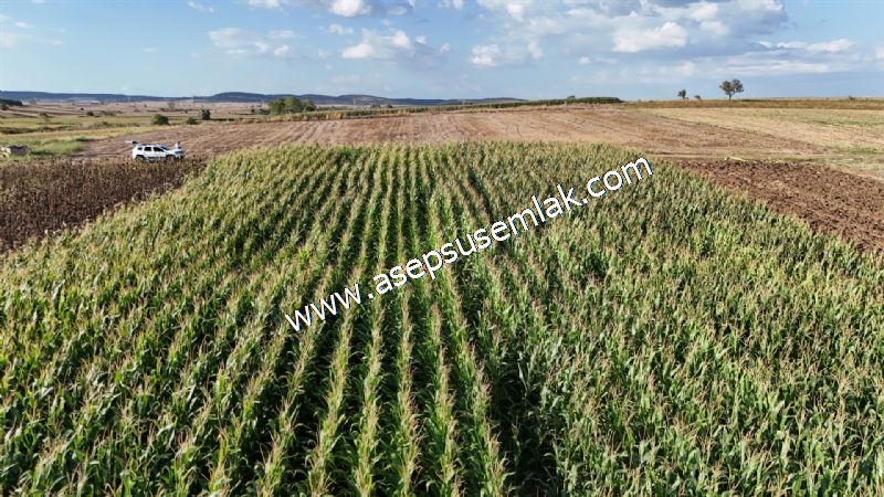 4.735 m2 Kadastro Yola Cepheli Çiftlik Bağ-Bahçe K.Pompaj Su Var