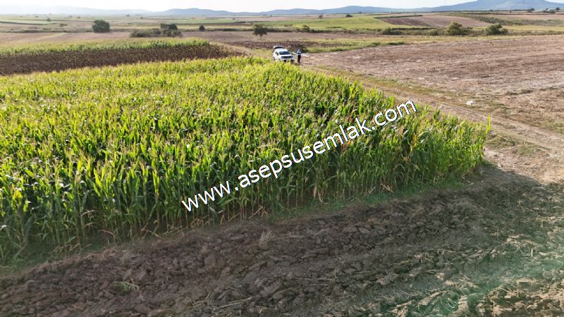 4.735 m2 Kadastro Yola Cepheli Çiftlik Bağ-Bahçe K.Pompaj Su Var