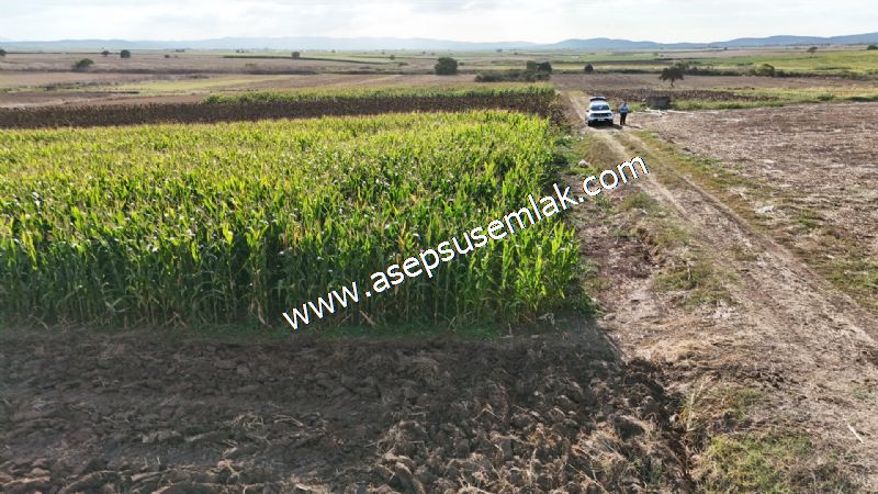 4.735 m2 Kadastro Yola Cepheli Çiftlik Bağ-Bahçe K.Pompaj Su Var