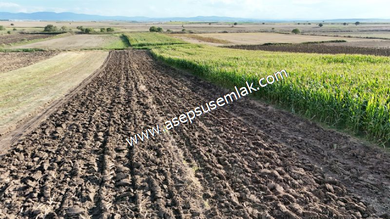 4.735 m2 Kadastro Yola Cepheli Çiftlik Bağ-Bahçe K.Pompaj Su Var