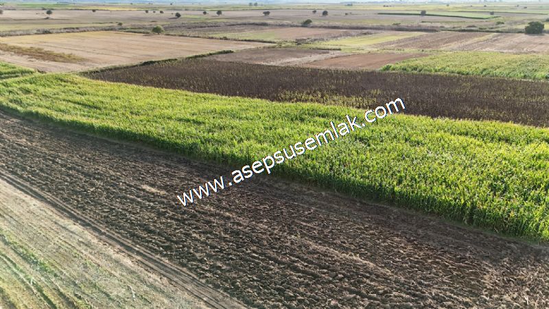 4.735 m2 Kadastro Yola Cepheli Çiftlik Bağ-Bahçe K.Pompaj Su Var