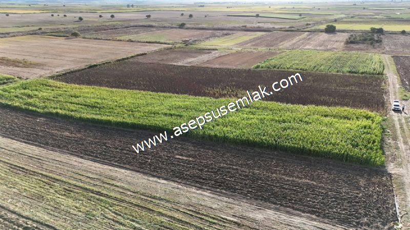 4.735 m2 Kadastro Yola Cepheli Çiftlik Bağ-Bahçe K.Pompaj Su Var