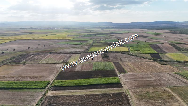 4.735 m2 Kadastro Yola Cepheli Çiftlik Bağ-Bahçe K.Pompaj Su Var