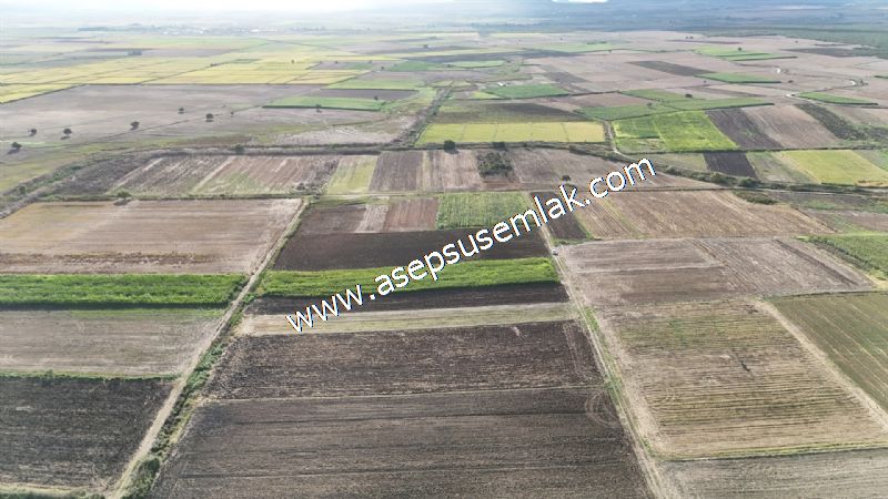4.735 m2 Kadastro Yola Cepheli Çiftlik Bağ-Bahçe K.Pompaj Su Var