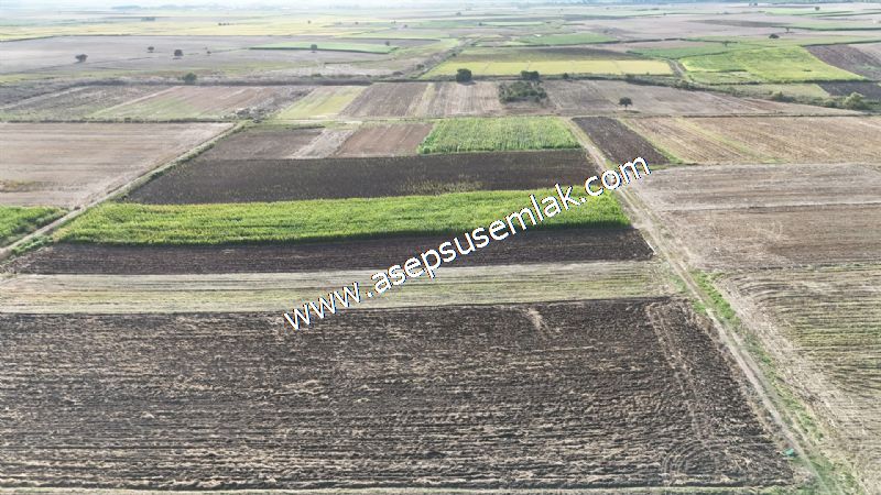 4.735 m2 Kadastro Yola Cepheli Çiftlik Bağ-Bahçe K.Pompaj Su Var