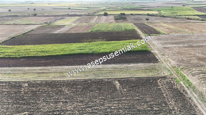 4.735 m2 Kadastro Yola Cepheli Çiftlik Bağ-Bahçe K.Pompaj Su Var
