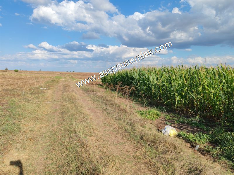 4.735 m2 Kadastro Yola Cepheli Çiftlik Bağ-Bahçe K.Pompaj Su Var